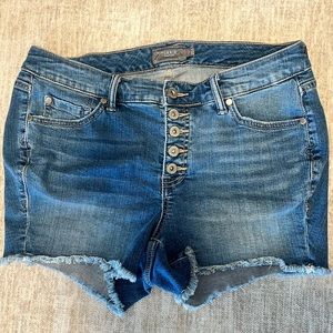 Torrid Denim Shorts